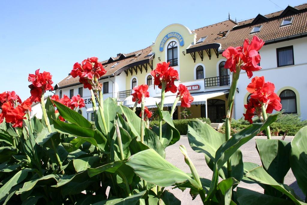 Hotel Orchidea Balástya Εξωτερικό φωτογραφία