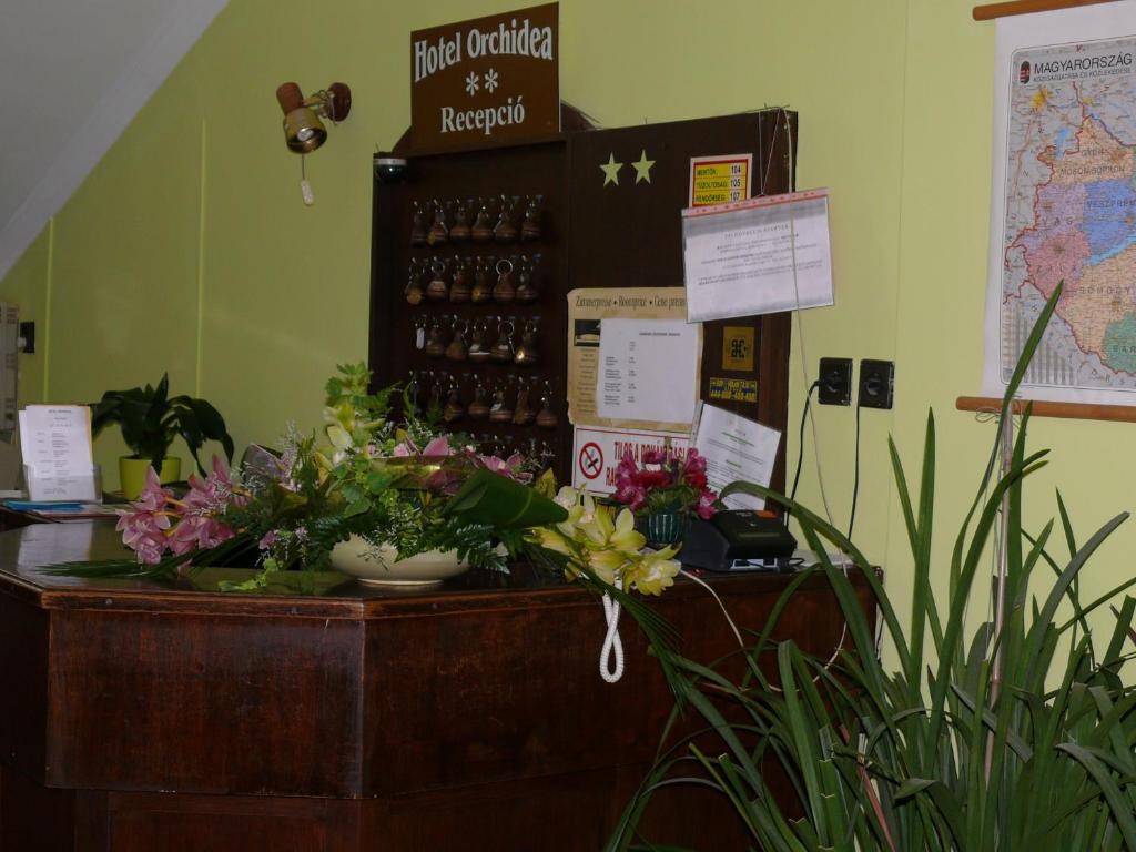 Hotel Orchidea Balástya Εξωτερικό φωτογραφία