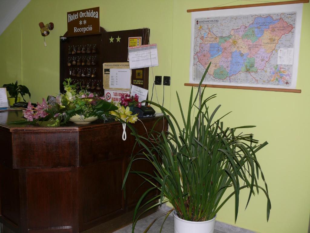 Hotel Orchidea Balástya Εξωτερικό φωτογραφία